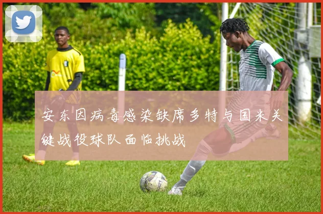 安东因病毒感染缺席多特与国米关键战役球队面临挑战